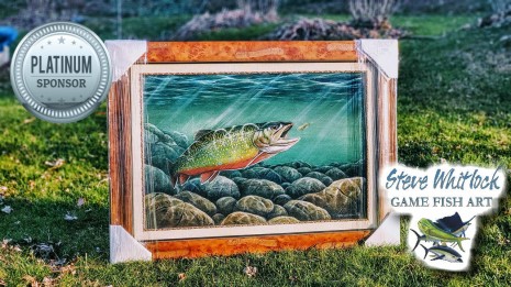Steve Whitlock Game Fish Art - Rainbow Trout